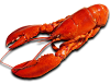 Ikonka